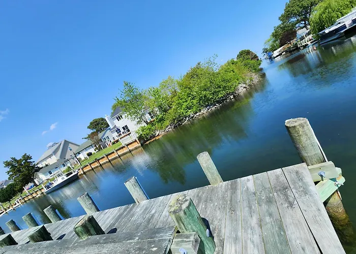 Dockside Daydreamin'
